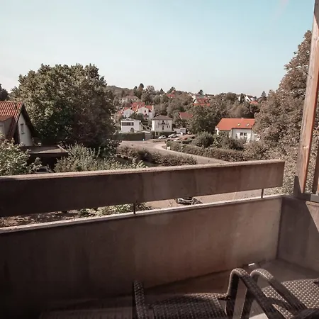Altenburgblick Отель 3*